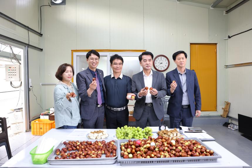 신품종 대추 생육 비교 및 시식회